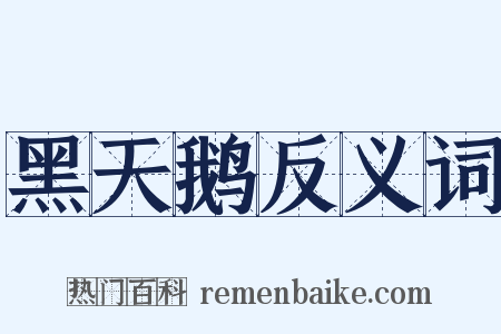 黑天鹅反义词是什么意思的图片